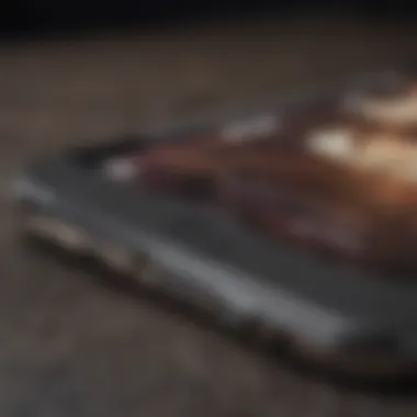 Magnificent A Comprehensive Examination of the New iPhone 6.5 Magnificent A Comprehensive Examination of the New iPhone 6.5