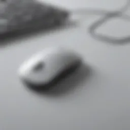Elegant design of the Apple Mac Bluetooth Mouse