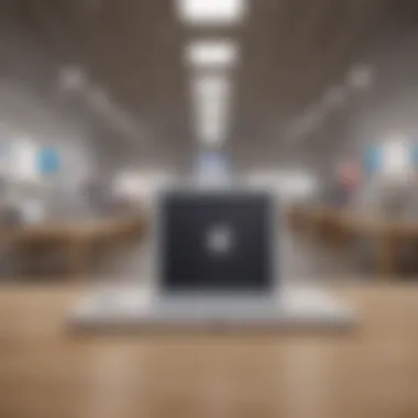 Apple store showcasing iPad accessories