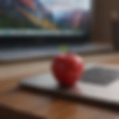 Apple Card and Macbook Air Pairing Apple Card with Macbook Air