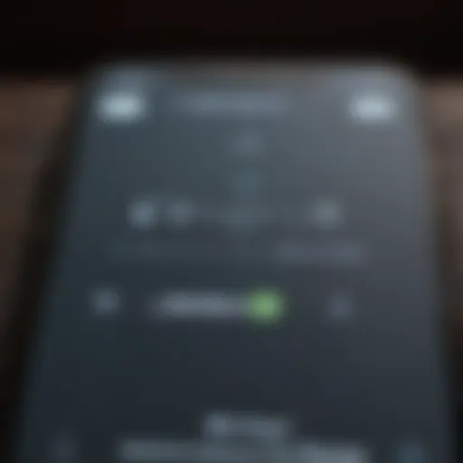 Detailed view of iPhone passcode input screen