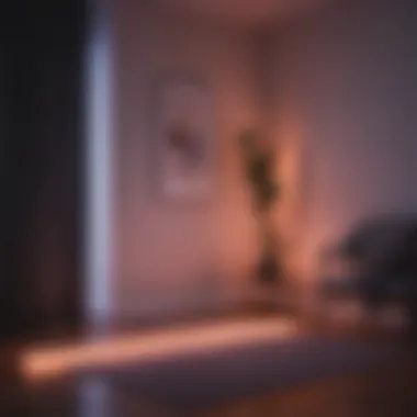 Personalized Color Selection Customizable color options of Philips Hue Gradient Lightstrip 80 Inch