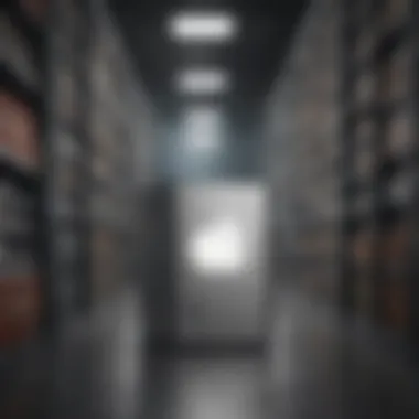 Storage Management Manage iCloud storage efficiently
