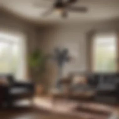 Energy-efficient Hunter fan in a living room setting