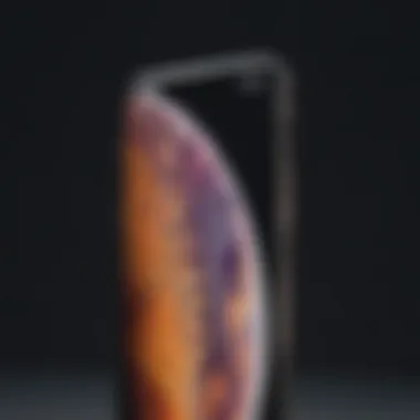 Luxurious iPhone XS Max packaging