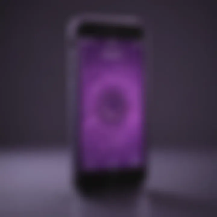 Technological specifications of the purple iPhone presented graphically