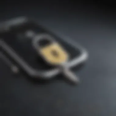 Lock and key on iPhone screen