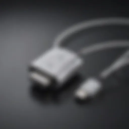 Detailed view of a mini USB to Lightning adaptor showcasing its connectors