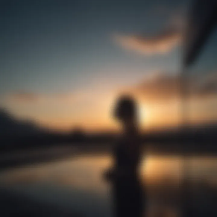 Silhouette of a person gazing at a sunset without a phone