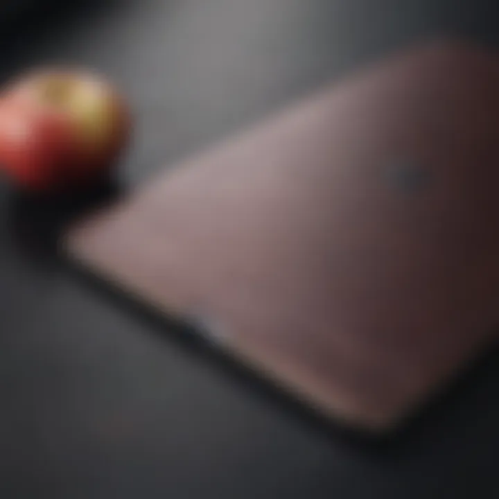 Renewed Apple iPad Pro back cover design