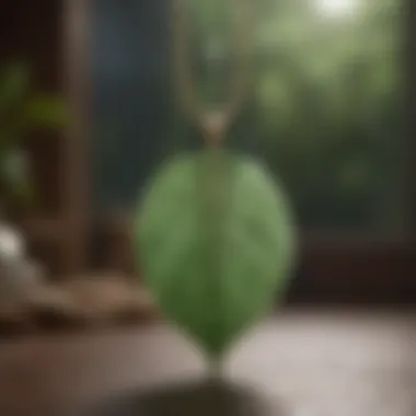 Elegance Meets Wellness: Benefits of the Fitness Tracker Necklace Leaf Elegant benefits of fitness tracker necklace Leaf