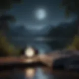 Illustration of a serene moonlit landscape with sleep timer music playing in the background