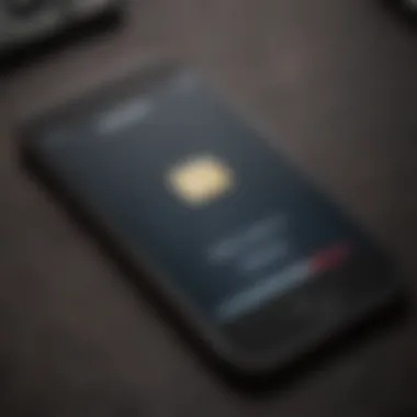 Visual Representation of Different Passcode Types on iPhone Types of passcodes available on iPhone