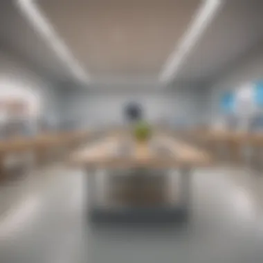 Sleek Apple Store Display