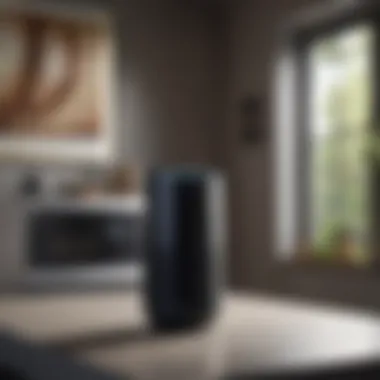 Samsung Smart Home Voice Assistant