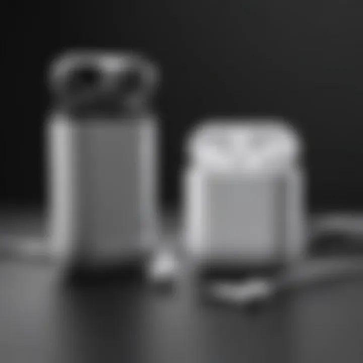 Versatile AirPods Pro Charger Adapter Options